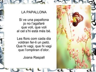 LA PAPALLONA
Si ve una papallona
jo no l’agafaré
que voli, que voli
al cel s’hi està més bé.
Les flors com cada dia
voldran fer-li un petó.
Que hi vagi, que hi vagi
que l’ompliran d’olor.
Joana Raspall
 