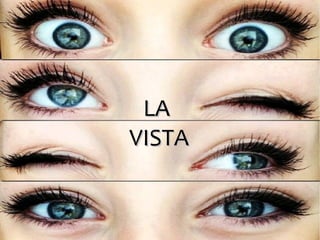 LALA
VISTAVISTA
 