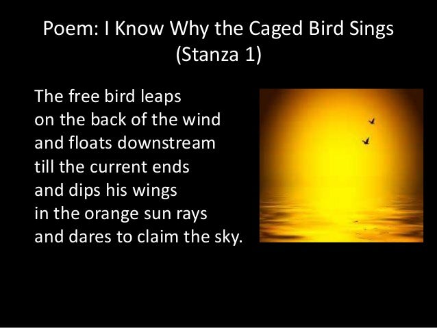 conclusion of i know why the caged bird sings Caged bird by maya angelou was first published in her book, shaker, why don't you sing in 1983 the poem is a metaphor illustrating the differences between african-americans and whites during the civil rights era the author, a black who grew up in the south during this era, is expressing her feelings at the discrimination she faced during. conclusion of i know why the caged bird sings Caged bird by maya angelou was first published in her book, shaker, why don't you sing in 1983 the poem is a metaphor illustrating the differences between african-americans and whites during the civil rights era the author, a black who grew up in the south during this era, is expressing her feelings at the discrimination she faced during.