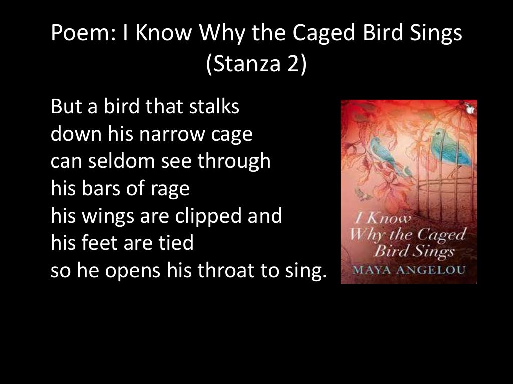 poetry essay about caged bird