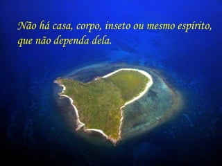Não há casa, corpo, inseto ou mesmo espírito, que não dependa dela. 