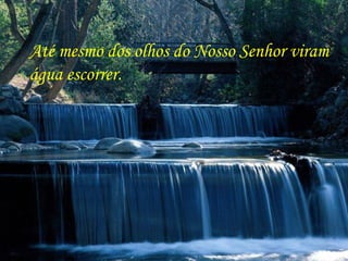 Até mesmo dos olhos do Nosso Senhor viram água escorrer. 