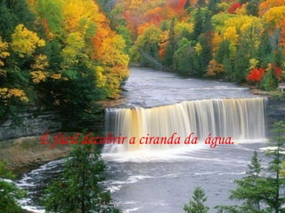 É fácil decobrir a ciranda da  água. . 