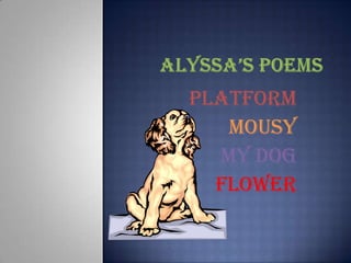 Alyssa’s Poems Platform Mousy My Dog Flower 