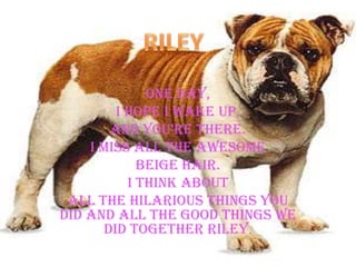 RILEYOne day,I hope I wake up,And you’re there.I miss all the awesome Beige hair.I think aboutAll the hilarious things you did and all the good things we did together RILEY.