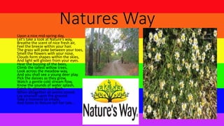 Natures Way
Upon a nice mid-spring day,
Let's take a look at Nature's way,
Breathe the scent of nice fresh air,
Feel the breeze within your hair.
The grass will poke between your toes,
Smell the flowers with your nose,
Clouds form shapes within the skies,
And light will glisten from your eyes.
Hear the buzzing of the bees,
Climb the tallest willow trees,
Look across the meadow way,
And you shall see a young deer play.
Pick the daisies as they grow,
Watch a gentle cold stream flow,
Know the sounds of water splash,
Catch its glimmer in a flash.
When altogether all seems sound,
Lay yourself upon the ground,
Take a moment to inhale,
And listen to Nature tell her tale...
 