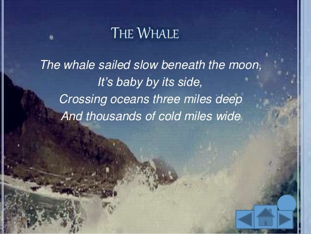 Moon whales and other moon poems critical essays image