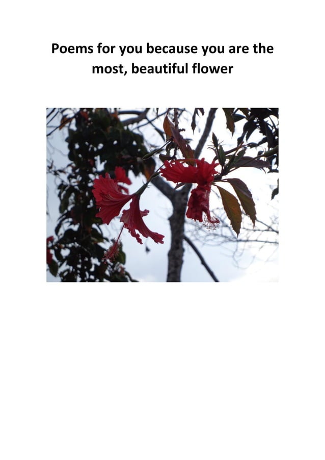 Poems for you because you are the most beautiful flower PDF
