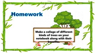Make a collage of different
kinds of trees on your
notebook along with their
benefits.