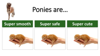Super smooth Super safe Super cute
Ponies are…
 