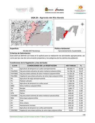 100
Ordenamiento Ecológico Local del municipio de Othón P. Blanco, Quintana Roo
UGA 24 – Agrícola del Río Hondo
Superficie:
90,694.849 Hectáreas
Política Ambiental:
Aprovechamiento Sustentable
Criterios de Delimitación:
Esta UGA se delimitó con base en la aptitud para la realización de actividades agropecuarias, así
como por las vías de comunicación presentes y los poligonos de los centros de población.
Condiciones de la Vegetación y Uso de Suelo:
CLAVE CONDICIONES DE LA VEGETACION HECTAREAS %
TS Agricultura de temporal con cultivo semipermanente 48,559.11 53.54
VSa/SMQ Veg secundaria arbustiva de selva mediana subperennifolia 14,756.18 16.27
VSA/SMQ Veg secundaria arbórea de selva mediana subperennifolia 8,125.35 8.96
VSa/SBQ Vegetación secundaria arbustiva de selva baja subperennifolia 7,006.47 7.73
RS Agricultura de riego semipermanente 3,290.74 3.63
PC Pastizal cultivado 2,196.16 2.42
TA Agricultura de temporal con cultivo anual 1,902.54 2.10
SMQ Selva mediana subperennifolia 1,077.35 1.19
VM Manglar 1,046.17 1.15
VS Sabana 594.15 0.66
VPN Palmar 428.82 0.47
VSA/SBS Veg secundaria arbórea de selva mediana subcaducifolia 410.93 0.45
SBQ Selva baja subperennifolia 408.97 0.45
VT Tular 311.32 0.34
ZU Zona urbana 264.44 0.29
AH Asentamiento humano 232.32 0.26
TP Agricultura de temporal con cultivo permanente 65.90 0.07
VSA/SBQ Vegetación secundaria arbórea de selva baja subperennifolia 10.41 0.01
 