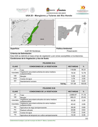 103
Ordenamiento Ecológico Local del municipio de Othón P. Blanco, Quintana Roo
UGA 25 – Manglares y Tulares del Rio Hondo
Superficie:
4,227.65 Hectáreas
Política Ambiental:
Preservación
Criterios de Delimitación:
Esta UGA se delimitó en base al tipo de vegetación y por zonas susceptibles a inundaciones.
Condiciones de la Vegetación y Uso de Suelo:
POLIGONO 25-A
CLAVE CONDICIONES DE LA VEGETACION HECTAREAS %
VT Tular 118.69 78.31
VSA/SMQ Vegetación secundaria arbórea de selva mediana
subperennifolia
19.34 12.76
VM Manglar 9.39 6.20
H2O Cuerpo de agua 3.79 2.50
AH Asentamiento humano 0.35 0.23
TOTAL 151.56 100.00
POLIGONO 25-B
CLAVE CONDICIONES DE LA VEGETACION HECTAREAS %
VT Tular 2,900.07 71.15
VM Manglar 955.21 23.43
VSA/SBQ Vegetación secundaria arbustiva de selva mediana
subperennifolia
93.26 2.29
VSA/SMQ Vegetación secundaria arbórea de selva mediana
subperennifolia
40.42 0.99
RS Agricultura de riego semipermanente 28.28 0.69
PC Pastizal cultivado 25.66 0.63
H2O Cuerpo de agua 17.93 0.44
TS Agricultura de temporal con cultivo semipermanente 14.34 0.35
 