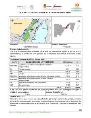 129
Ordenamiento Ecológico Local del municipio de Othón P. Blanco, Quintana Roo
UGA 34 – Corredor Forestal La Península-Santa Elena
Superficie:
16,507.81 Hectáreas
Política Ambiental:
Protección
Criterios de Delimitación:
Esta UGA se delimitó al Este y al Norte con el ANP del Santuario de Manatí, al Sur con el PDU
Metropolitano y al Oeste una línea paralela de un kilómetro de distancia de la línea costera
lagunar.
Condiciones de la Vegetación y Uso de Suelo:
CLAVE CONDICIONES DE LA VEGETACION HECTAREAS %
VSA/SMQ
Vegetación secundaria arbórea de selva mediana
subperennifolia
13,549.41 82.08
PC Pastizal cultivado 699.71 4.24
VT Tular 658.94 3.99
VM Manglar 519.57 3.15
VSa/SBQ Vegetación secundaria arbustiva de selva baja subperennifolia 513.35 3.11
VSa/SMQ
Vegetación secundaria arbustiva de selva mediana
subperennifolia
337.72 2.05
TA Agricultura de temporal con cultivo anual 217.88 1.32
H2O Cuerpo de agua 11.22 0.07
TOTAL 16,507.81 100.00
% de UGA que posee vegetación en buen
estado de conservación:
7.14%
Superficie de la UGA con importancia para la
recarga de acuíferos:
87.23%
Objetivo de la UGA:
Mantener o en su caso reducir las áreas afectadas por el aprovechamiento agrícola, así como
reorientar los usos pecuarios y agrícolas en alternativas agroforestales así como diversificar las
actividades en alternativas como el ecoturismo y el fomento de Unidades de Manejo de Vida
Silvestre.
 