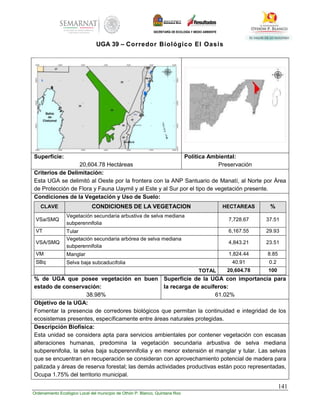 141
Ordenamiento Ecológico Local del municipio de Othón P. Blanco, Quintana Roo
UGA 39 – Corredor Biológico El Oasis
Superficie:
20,604.78 Hectáreas
Política Ambiental:
Preservación
Criterios de Delimitación:
Esta UGA se delimitó al Oeste por la frontera con la ANP Santuario de Manatí, al Norte por Área
de Protección de Flora y Fauna Uaymil y al Este y al Sur por el tipo de vegetación presente.
Condiciones de la Vegetación y Uso de Suelo:
CLAVE CONDICIONES DE LA VEGETACION HECTAREAS %
VSa/SMQ
Vegetación secundaria arbustiva de selva mediana
subperennifolia
7,728.67 37.51
VT Tular 6,167.55 29.93
VSA/SMQ
Vegetación secundaria arbórea de selva mediana
subperennifolia
4,843.21 23.51
VM Manglar 1,824.44 8.85
SBq Selva baja subcaducifolia 40.91 0.2
TOTAL 20,604.78 100
% de UGA que posee vegetación en buen
estado de conservación:
38.98%
Superficie de la UGA con importancia para
la recarga de acuíferos:
61.02%
Objetivo de la UGA:
Fomentar la presencia de corredores biológicos que permitan la continuidad e integridad de los
ecosistemas presentes, específicamente entre áreas naturales protegidas.
Descripción Biofísica:
Esta unidad se considera apta para servicios ambientales por contener vegetación con escasas
alteraciones humanas, predomina la vegetación secundaria arbustiva de selva mediana
subperenifolia, la selva baja subperennifolia y en menor extensión el manglar y tular. Las selvas
que se encuentran en recuperación se consideran con aprovechamiento potencial de madera para
palizada y áreas de reserva forestal; las demás actividades productivas están poco representadas,
Ocupa 1.75% del territorio municipal.
 