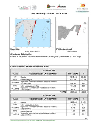 167
Ordenamiento Ecológico Local del municipio de Othón P. Blanco, Quintana Roo
UGA 49 – Manglares de Costa Maya
Superficie:
8,259.70 Hectáreas
Política Ambiental:
Restauración
Criterios de Delimitación:
Esta UGA se delimitó mediante la ubicación de los Manglares presentes en la Costa Maya.
Condiciones de la Vegetación y Uso de Suelo:
POLIGONO 49-A
CLAVE CONDICIONES DE LA VEGETACION HECTAREAS %
VM Manglar 2,941.16 76.06
H2O Cuerpo de agua 452.29 11.70
VSa/SMQ
Vegetación secundaria arbustiva de selva mediana
subperennifolia 356.93 9.23
SBQ Selva baja subperennifolia 104.18 2.69
VSA/SMQ
Vegetación secundaria arbórea de selva mediana
subperennifolia 12.28 0.32
TOTAL 3,866.84 100.00
POLIGONO 49-B
CLAVE CONDICIONES DE LA VEGETACION HECTAREAS %
VM Manglar 2,230.38 94.40
SBS Selva baja subcaducifolia 123.20 5.21
VSa/SMQ
Vegetación secundaria arbustiva de selva mediana
subperennifolia
6.78 0.29
H2O Cuerpo de agua 1.41 0.06
VSA/SMQ
Vegetación secundaria arbórea de selva mediana
subperennifolia
1.00 0.04
 
