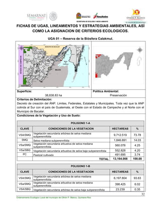 32
Ordenamiento Ecológico Local del municipio de Othón P. Blanco, Quintana Roo
FICHAS DE UGAS, LINEAMIENTOS Y ESTRATEGIAS AMBIENTALES, ASÍ
COMO LA ASIGNACION DE CRITERIOS ECOLOGICOS.
UGA 01 – Reserva de la Biósfera Calakmul.
Superficie:
38,838.83 ha
Política Ambiental:
Preservación
Criterios de Delimitación:
Decreto de creación del ÁNP. Limites, Federales, Estatales y Municipales. Toda vez que la ANP
colinda al Sur con el país de Guatemala, al Oeste con el Estado de Campeche y al Norte con el
Municipio de Bacalar.
Condiciones de la Vegetación y Uso de Suelo:
POLIGONO 1-A
CLAVE CONDICIONES DE LA VEGETACION HECTAREAS %
VSA/SMQ
Vegetación secundaria arbórea de selva mediana
subperennifolia
9,712.519 73.78
SMQ Selva mediana subperennifolia 1,846.891 14.03
VSa/SMQ Vegetación secundaria arbustiva de selva mediana
subperennifolia
560.076 4.25
VSa/SBQ Vegetación secundaria arbustiva de selva baja subperennifolia 552.828 4.20
PC Pastizal cultivado 491.695 3.74
TOTAL 13,164.008 100.00
POLIGONO 1-B
CLAVE CONDICIONES DE LA VEGETACION HECTAREAS %
VSA/SMQ
Vegetación secundaria arbórea de selva mediana
subperennifolia
6,197.804 93.63
VSa/SMQ Vegetación secundaria arbustiva de selva mediana
subperennifolia
398.425 6.02
VSA/SBQ Vegetación secundaria arbórea de selva baja subperennifolia 23.239 0.35
 
