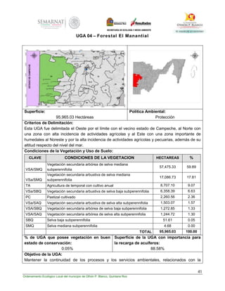 41
Ordenamiento Ecológico Local del municipio de Othón P. Blanco, Quintana Roo
UGA 04 – Forestal El Manantial
Superficie:
95,965.03 Hectáreas
Política Ambiental:
Protección
Criterios de Delimitación:
Esta UGA fue delimitada el Oeste por el límite con el vecino estado de Campeche, al Norte con
una zona con alta incidencia de actividades agrícolas y al Este con una zona importante de
humedales al Noreste y por la alta incidencia de actividades agrícolas y pecuarias, además de su
altitud respecto del nivel del mar.
Condiciones de la Vegetación y Uso de Suelo:
CLAVE CONDICIONES DE LA VEGETACION HECTAREAS %
VSA/SMQ
Vegetación secundaria arbórea de selva mediana
subperennifolia
57,475.33 59.89
VSa/SMQ
Vegetación secundaria arbustiva de selva mediana
subperennifolia
17,086.73 17.81
TA Agricultura de temporal con cultivo anual 8,707.10 9.07
VSa/SBQ Vegetación secundaria arbustiva de selva baja subperennifolia 6,358.39 6.63
PC Pastizal cultivado 2,260.56 2.36
VSa/SAQ Vegetación secundaria arbustiva de selva alta subperennifolia 1,503.07 1.57
VSA/SBQ Vegetación secundaria arbórea de selva baja subperennifolia 1,272.85 1.33
VSA/SAQ Vegetación secundaria arbórea de selva alta subperennifolia 1,244.72 1.30
SBQ Selva baja subperennifolia 51.61 0.05
SMQ Selva mediana subperennifolia 4.68 0.00
TOTAL 95,965.03 100.00
% de UGA que posee vegetación en buen
estado de conservación:
0.05%
Superficie de la UGA con importancia para
la recarga de acuíferos:
88.58%
Objetivo de la UGA:
Mantener la continuidad de los procesos y los servicios ambientales, relacionados con la
 