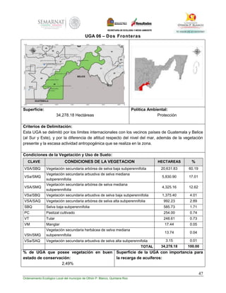 47
Ordenamiento Ecológico Local del municipio de Othón P. Blanco, Quintana Roo
UGA 06 – Dos Fronteras
Superficie:
34,278.18 Hectáreas
Política Ambiental:
Protección
Criterios de Delimitación:
Esta UGA se delimitó por los límites internacionales con los vecinos países de Guatemala y Belice
(al Sur y Este), y por la diferencia de altitud respecto del nivel del mar, además de la vegetación
presente y la escasa actividad antropogénica que se realiza en la zona.
Condiciones de la Vegetación y Uso de Suelo:
CLAVE CONDICIONES DE LA VEGETACION HECTAREAS %
VSA/SBQ Vegetación secundaria arbórea de selva baja subperennifolia 20,631.83 60.19
VSa/SMQ
Vegetación secundaria arbustiva de selva mediana
subperennifolia
5,830.90 17.01
VSA/SMQ
Vegetación secundaria arbórea de selva mediana
subperennifolia
4,325.16 12.62
VSa/SBQ Vegetación secundaria arbustiva de selva baja subperennifolia 1,375.40 4.01
VSA/SAQ Vegetación secundaria arbórea de selva alta subperennifolia 992.23 2.89
SBQ Selva baja subperennifolia 585.73 1.71
PC Pastizal cultivado 254.00 0.74
VT Tular 248.61 0.73
VM Manglar 17.44 0.05
VSh/SMQ
Vegetación secundaria herbácea de selva mediana
subperennifolia
13.74 0.04
VSa/SAQ Vegetación secundaria arbustiva de selva alta subperennifolia 3.15 0.01
TOTAL 34,278.18 100.00
% de UGA que posee vegetación en buen
estado de conservación:
2.49%
Superficie de la UGA con importancia para
la recarga de acuíferos:
 