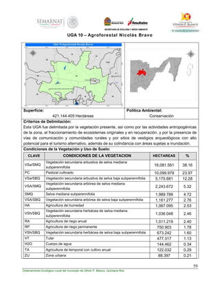 59
Ordenamiento Ecológico Local del municipio de Othón P. Blanco, Quintana Roo
UGA 10 – Agroforestal Nicolás Bravo
Superficie:
421,144.405 Hectáreas
Política Ambiental:
Conservación
Criterios de Delimitación:
Esta UGA fue delimitada por la vegetación presente, así como por las actividades antropogénicas
de la zona, el fraccionamiento de ecosistemas originales y en recuperación, y por la presencia de
vías de comunicación y comunidades rurales y por sitios de vestigios arqueológicos con alto
potencial para el turismo alternativo, además de su colindancia con áreas sujetas a inundación.
Condiciones de la Vegetación y Uso de Suelo:
CLAVE CONDICIONES DE LA VEGETACION HECTAREAS %
VSa/SMQ
Vegetación secundaria arbustiva de selva mediana
subperennifolia
16,081.561 38.16
PC Pastizal cultivado 10,099.979 23.97
VSa/SBQ Vegetación secundaria arbustiva de selva baja subperennifolia 5,175.681 12.28
VSA/SMQ
Vegetación secundaria arbórea de selva mediana
subperennifolia
2,243.672 5.32
SMQ Selva mediana subperennifolia 1,989.788 4.72
VSA/SBQ Vegetación secundaria arbórea de selva baja subperennifolia 1,161.277 2.76
HA Agricultura de humedad 1,067.095 2.53
VSh/SBQ
Vegetación secundaria herbácea de selva mediana
subperennifolia
1,036.048 2.46
RA Agricultura de riego anual 1,011.219 2.40
RP Agricultura de riego permanente 750.903 1.78
VSh/SBQ Vegetación secundaria herbácea de selva baja subperennifolia 673.242 1.60
VT Tular 477.317 1.13
H2O Cuerpo de agua 144.462 0.34
TA Agricultura de temporal con cultivo anual 122.032 0.29
ZU Zona urbana 88.397 0.21
 