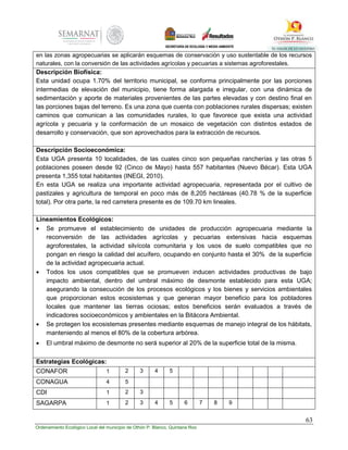 63
Ordenamiento Ecológico Local del municipio de Othón P. Blanco, Quintana Roo
en las zonas agropecuarias se aplicarán esquemas de conservación y uso sustentable de los recursos
naturales, con la conversión de las actividades agrícolas y pecuarias a sistemas agroforestales.
Descripción Biofísica:
Esta unidad ocupa 1.70% del territorio municipal, se conforma principalmente por las porciones
intermedias de elevación del municipio, tiene forma alargada e irregular, con una dinámica de
sedimentación y aporte de materiales provenientes de las partes elevadas y con destino final en
las porciones bajas del terreno. Es una zona que cuenta con poblaciones rurales dispersas; existen
caminos que comunican a las comunidades rurales, lo que favorece que exista una actividad
agrícola y pecuaria y la conformación de un mosaico de vegetación con distintos estados de
desarrollo y conservación, que son aprovechados para la extracción de recursos.
Descripción Socioeconómica:
Esta UGA presenta 10 localidades, de las cuales cinco son pequeñas rancherías y las otras 5
poblaciones poseen desde 92 (Cinco de Mayo) hasta 557 habitantes (Nuevo Bécar). Esta UGA
presenta 1,355 total habitantes (INEGI, 2010).
En esta UGA se realiza una importante actividad agropecuaria, representada por el cultivo de
pastizales y agricultura de temporal en poco más de 8,205 hectáreas (40.78 % de la superficie
total). Por otra parte, la red carretera presente es de 109.70 km lineales.
Lineamientos Ecológicos:
 Se promueve el establecimiento de unidades de producción agropecuaria mediante la
reconversión de las actividades agrícolas y pecuarias extensivas hacia esquemas
agroforestales, la actividad silvícola comunitaria y los usos de suelo compatibles que no
pongan en riesgo la calidad del acuífero, ocupando en conjunto hasta el 30% de la superficie
de la actividad agropecuaria actual.
 Todos los usos compatibles que se promueven inducen actividades productivas de bajo
impacto ambiental, dentro del umbral máximo de desmonte establecido para esta UGA;
asegurando la consecución de los procesos ecológicos y los bienes y servicios ambientales
que proporcionan estos ecosistemas y que generan mayor beneficio para los pobladores
locales que mantener las tierras ociosas; estos beneficios serán evaluados a través de
indicadores socioeconómicos y ambientales en la Bitácora Ambiental.
 Se protegen los ecosistemas presentes mediante esquemas de manejo integral de los hábitats,
manteniendo al menos el 80% de la cobertura arbórea.
 El umbral máximo de desmonte no será superior al 20% de la superficie total de la misma.
Estrategias Ecológicas:
CONAFOR 1 2 3 4 5
CONAGUA 4 5
CDI 1 2 3
SAGARPA 1 2 3 4 5 6 7 8 9
 