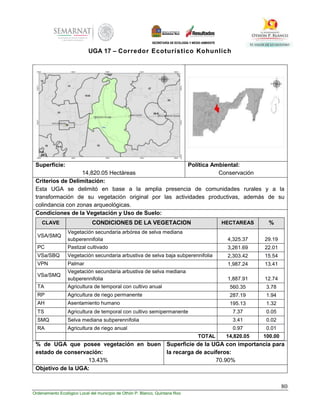 80
Ordenamiento Ecológico Local del municipio de Othón P. Blanco, Quintana Roo
UGA 17 – Corredor Ecoturístico Kohunlich
Superficie:
14,820.05 Hectáreas
Política Ambiental:
Conservación
Criterios de Delimitación:
Esta UGA se delimitó en base a la amplia presencia de comunidades rurales y a la
transformación de su vegetación original por las actividades productivas, además de su
colindancia con zonas arqueológicas.
Condiciones de la Vegetación y Uso de Suelo:
CLAVE CONDICIONES DE LA VEGETACION HECTAREAS %
VSA/SMQ
Vegetación secundaria arbórea de selva mediana
subperennifolia 4,325.37 29.19
PC Pastizal cultivado 3,261.69 22.01
VSa/SBQ Vegetación secundaria arbustiva de selva baja subperennifolia 2,303.42 15.54
VPN Palmar 1,987.24 13.41
VSa/SMQ
Vegetación secundaria arbustiva de selva mediana
subperennifolia 1,887.91 12.74
TA Agricultura de temporal con cultivo anual 560.35 3.78
RP Agricultura de riego permanente 287.19 1.94
AH Asentamiento humano 195.13 1.32
TS Agricultura de temporal con cultivo semipermanente 7.37 0.05
SMQ Selva mediana subperennifolia 3.41 0.02
RA Agricultura de riego anual 0.97 0.01
TOTAL 14,820.05 100.00
% de UGA que posee vegetación en buen
estado de conservación:
13.43%
Superficie de la UGA con importancia para
la recarga de acuíferos:
70.90%
Objetivo de la UGA:
 