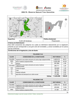 86
Ordenamiento Ecológico Local del municipio de Othón P. Blanco, Quintana Roo
UGA 19 – Reserva Natural Tres Garantías
Superficie:
15,351.28 Hectáreas
Política Ambiental:
Preservación
Criterios de Delimitación:
Esta UGA comprende dos polígonos los cuales se delimitaron básicamente por la vegetación
presente ya que corresponden a una gran zona de humedales, y zonas inundables por la cuenca
que los conforman.
Condiciones de la Vegetación y Uso de Suelo:
POLIGONO 19-A
CLAVE CONDICIONES DE LA VEGETACION HECTAREAS %
VSa/SBQ Vegetación secundaria arbustiva de selva baja subperennifolia 5,483.615 46.31
SMQ Selva mediana subperennifolia 5,250.385 44.34
VS Sabana 397.890 3.36
VSA/SMQ Vegetación secundaria arbustiva de selva mediana
subperennifolia
389.711 3.29
H20 Cuerpo de agua 156.940 1.33
VT Tular 75.366 0.64
PC Pastizal cultivado 58.720 0.50
TA Agricultura de temporal con cultivo anual 27.368 0.23
TOTAL 11,839.996 100.00
POLIGONO 19-B
CLAVE CONDICIONES DE LA VEGETACION HECTAREAS %
VSa/SBQ Vegetación secundaria arbustiva de selva baja subperennifolia 2,994.315 85.28
VSA/SMQ Vegetación secundaria arbórea de selva mediana
subperennifolia
459.660 13.09
SMQ Selva mediana subperennifolia 31.361 0.89
 