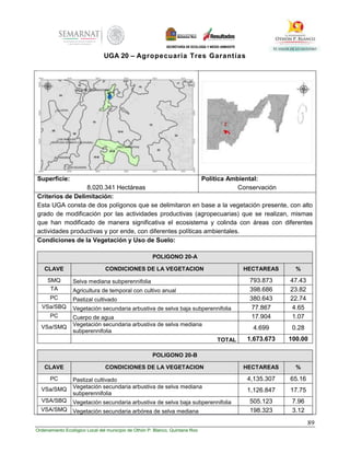 89
Ordenamiento Ecológico Local del municipio de Othón P. Blanco, Quintana Roo
UGA 20 – Agropecuaria Tres Garantías
Superficie:
8,020.341 Hectáreas
Política Ambiental:
Conservación
Criterios de Delimitación:
Esta UGA consta de dos polígonos que se delimitaron en base a la vegetación presente, con alto
grado de modificación por las actividades productivas (agropecuarias) que se realizan, mismas
que han modificado de manera significativa el ecosistema y colinda con áreas con diferentes
actividades productivas y por ende, con diferentes políticas ambientales.
Condiciones de la Vegetación y Uso de Suelo:
POLIGONO 20-A
CLAVE CONDICIONES DE LA VEGETACION HECTAREAS %
SMQ Selva mediana subperennifolia 793.873 47.43
TA Agricultura de temporal con cultivo anual 398.686 23.82
PC Pastizal cultivado 380.643 22.74
VSa/SBQ Vegetación secundaria arbustiva de selva baja subperennifolia 77.867 4.65
PC Cuerpo de agua 17.904 1.07
VSa/SMQ Vegetación secundaria arbustiva de selva mediana
subperennifolia
4.699 0.28
TOTAL 1,673.673 100.00
POLIGONO 20-B
CLAVE CONDICIONES DE LA VEGETACION HECTAREAS %
PC Pastizal cultivado 4,135.307 65.16
VSa/SMQ Vegetación secundaria arbustiva de selva mediana
subperennifolia
1,126.847 17.75
VSA/SBQ Vegetación secundaria arbustiva de selva baja subperennifolia 505.123 7.96
VSA/SMQ Vegetación secundaria arbórea de selva mediana 198.323 3.12
 