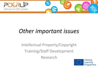 Other important issues
Intellectual Property/Copyright
Training/Staff Development
Research

 