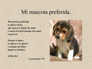 Mi mascota preferida. Mi mascota preferida te quiero decir, que nunca te dejaré de amar y nunca lo haría porque este amor es para ti. Porque te quise, te quiero y te querré y aunque me faltes jamás te olvidaré. ¡Feliz día!. Carla Rosales 7°B 