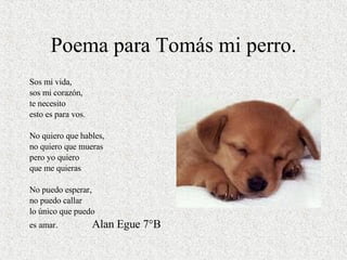 Poema para Tomás mi perro. Sos mi vida,  sos mi corazón, te necesito esto es para vos. No quiero que hables, no quiero que mueras pero yo quiero que me quieras No puedo esperar, no puedo callar lo único que puedo  es amar.  Alan Egue 7°B 