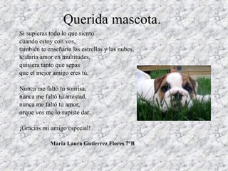 Querida mascota. Si supieras todo lo que siento cuando estoy con vos, también te enseñaría las estrellas y las nubes, te daría amor en multitudes, quisiera tanto que sepas que el mejor amigo eres tú. Nunca me faltó tu sonrisa, nunca me faltó tu amistad, nunca me faltó tu amor, orque vos me lo supiste dar. ¡Gracias mi amigo especial! María Laura Gutierrez Flores 7°B 