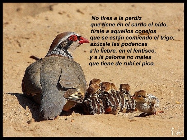 La Sierra Tires >> FERNANDO VILLALÓN "SU POESÍA" La Sierra Tires >> FERNANDO VILLALÓN "SU POESÍA"