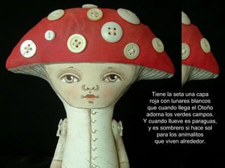 Tiene la seta una capa roja con lunares blancos que cuando llega el Otoño adorna los verdes campos. Y cuando llueve es paraguas, y es sombrero si hace sol para los animalitos que viven alrededor. 