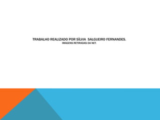 TRABALHO REALIZADO POR SÍLVIA SALGUEIRO FERNANDES.
               IMAGENS RETIRADAS DA NET.
 