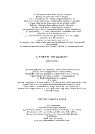 ... me trataron como a un perro, peor que a un perro;
por eso, hoy, junto a las esclusas del agua
invoco las del fuego: una abertura, una grieta mineral de luz
hacia la que puedan arrastrarse y verse por dentro los furiosos y suicidas;
... porque existe, hay un último valor con que perros u hombres
ladramos y luchamos frente a la magnitud del infortunio;
en unos y otros, desde el fondo denso de la sombra,
nuestros dioses parten cada día a un combate desigual, ingente y desdichado;
¡ ... y a quién decirlo ¡ ¡ ... y cómo explicar que en este empeño ya no sirven
espadas de hierro ni arrebatos de furia !
¡ ... cómo mostrar este ictus de dolor que nos ha de salvar por siempre
de lo atroz de la desesperanza !
… porque me trataron como a un perro, sí,
peor que a un perro, y tardarán aún, seguro que tardarán mucho tiempo en comprender
que así ha sido;
sin memoria ¿ cómo podríamos curar y florecer ? aleluya, por siempre sea aleluya .
.
CAPÍTULO III – De las pequeñas luces
INVOCACIÓN
... que no se apague esta luz, resistídmela ahora, oh mis cuerpos y fuerzas,
pues que ebrios están pasando los caballos del frío;
mantenedme este valor, que necesito vadear torrentes de sal y muerte,
y a pecho abierto salir frente al mundo y vencer precipicios
por donde ululando pasan los huracanes
de la razón;
recordad con insistencia la fe que necesito, la del don paciente junto a las pequeñas cosas;
pensad, pensad, pues, seriamente en el desmedido esfuerzo a que os llamo;
luchad contra la desmemoria del tiempo, luchad por Dios con insistencia
frente al odio y la proximidad de la locura, por vuestro ser y honor, quedad, quedad aquí
y resistid conmigo.
SEGUNDA VISIÓN DEL BOSQUE
... llueve tenuemente;
el susurro se extiende por el bosque
y, con difusos contornos e indelebles tristezas, con esfuerzo, la luz sostiene
la mañana por entre las desnudas y ateridas ramas de los árboles,
y las gaviotas, sumamente grises, pasan bajas y agrupadas, lúgubres,
deshabitadas;
... dónde estará hoy el mar,
y por qué estas gaviotas encogerán el corazón,
 