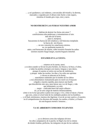 … y así quedamos y así rodamos, convencidos del triunfo y la derrota,
marcados y seguidos por el abrazo más fuerte y más seguro,
mientras el mundo gira viejo, roto y sucio.
NO DESTRUIRÁN LAS FURIAS NUESTRO AMOR
¿… habrían de destruir las furias este amor ?
construiremos alas poderosas y remontaremos el aire
más alto de la tierra;
…. para ti, mariposa,
buscaremos la fuerza de mil cóndores y mil halcones templarán
la fuerza de mis brazos;
… no nos vencerán los cataclismos eternos,
no, no quebrarán nuestra fe;
antes, cual huracanes de muerte, sobre nosotros llorarán las nubes
seremos nuestro fuego/sangre, nuestra hoguera inmortal.
ESTAMOS EN LA CUESTA
… estamos en la cuesta, amor,
y es dura cuando se llevan los pies heridos, los brazos y la boca, el alma,
y todas las piedras emergen con manos, lenguas y ojos duros,
porque el camino se estira con un haz de indolencia,
y porque todas las noches, los días y los soles nos aprietan
y clavan su máscara en la frente;
… marchamos redimidos por la lumbre de los labios
y nos alimentamos mutuamente para no morir en el trayecto
colgado a nuestra espalda, para marcar una huella
que descubrirán más ojos, para lanzar una voz de fuego y vida
que alimentará y se oirá;
… mujer – codiciado barro del mejor alfarero –
no, ya no eres carga de materia intranscendente;
cómo si no la luz que pulso a pulso nos acoge y vive, cómo el nácar y fuerza
que eres, cómo el crisol total de los múltiples poderes de los hombres;
… y al final, mirémonos, traemos dos lágrimas vivas de un mar cautivo, el nuestro;
en él compartiremos los diezmos del mundo, los sueños, el dolor y el humo
de esta hoguera mortal e inmensa…
YA SE ABRIERON COMO DOS TULIPANES
… ya se abrieron como dos tulipanes divinos
los altos campanarios de tu pecho, la frágil cruz de tu cintura
de donde irradian, perfectas, las márgenes sin par de tus caderas;
 