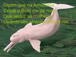 Dizem que na Amazônia Existe o Boto cor de rosa  Que seduz as mulheres Usando seu chapéu todo prosa. 