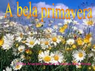 A bela primavera Cíntia Anacleto Isawa e Florence Amy Hirose 