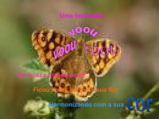 Uma borboleta Em busca do seu amor Ficou horas perto da sua flor Harmonizando com a sua   voou voou voou cor 