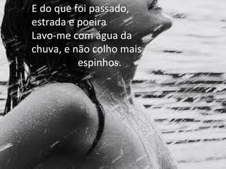 E do que foi passado, estrada e poeira Lavo-me com água da chuva, e não colho mais  espinhos. 