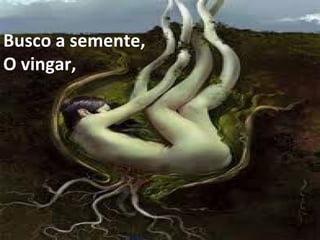 Busco a semente, O vingar,  