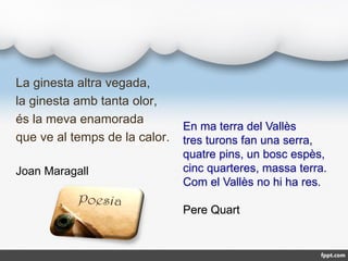 La ginesta altra vegada,
la ginesta amb tanta olor,
és la meva enamorada
que ve al temps de la calor.
Joan Maragall
En ma ...