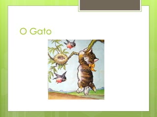 O Gato 
 