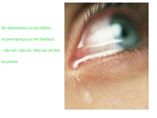Se desmorono ou se edifico, se permaneço ou me desfaço, - não sei, não sei. Não sei se fico ou passo. 