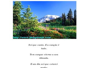 Sei que canto. E a canção é tudo. Tem sangue eterno a asa ritmada. E um dia sei que estarei mudo: - mais nada.  