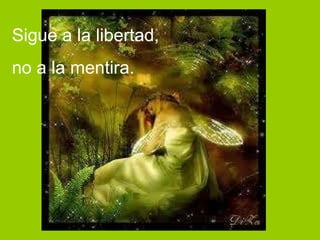 Sigue a la libertad,  no a la mentira. 