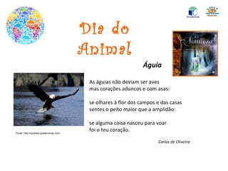 Dia do Animal Águia As águias não deviam ser aves mas corações aduncos e com asas: se olhares à flor dos campos e das casas sentes o peito maior que a amplidão: se alguma coisa nasceu para voar foi o teu coração. Carlos de Oliveira Fonte: http://sucesso.powerminas.com/ 