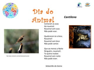 Dia do Animal Cantilena Cortaram as asas Ao rouxinol. Rouxinol sem asas Não pode voar. Quebraram-te o bico, Rouxinol! Rouxinol sem bico Não pode cantar. Que ao menos a Noite Ninguém, rouxinol!, Ta queira roubar. Rouxinol sem noite Não pode viver. Sebastião da Gama  http://www.culturamix.com/animais/aves/rouxinol 