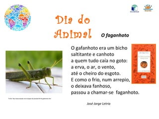 Dia do Animal O faganhoto O gafanhoto era um bicho saltitante e canhoto a quem tudo caía no goto: a erva, o ar, o vento, até o cheiro do esgoto. E como o frio, num arrepio, o deixava fanhoso, passou a chamar-se  faganhoto. José Jorge Letria Fonte: http://www.baixaki.com.br/papel-de-parede/39138-gafanhoto.htm 