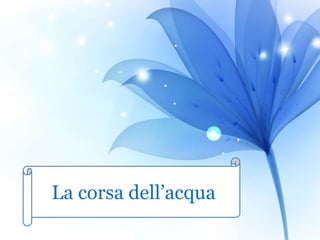 La corsa dell’acqua
 